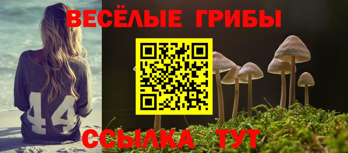 Псилоцибиновые грибы мицелий Амурск
